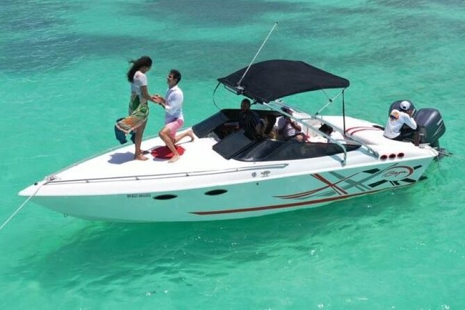 Saona island - Private Tour with a Luxury Speed Boat - Key things that make this tour worth a look