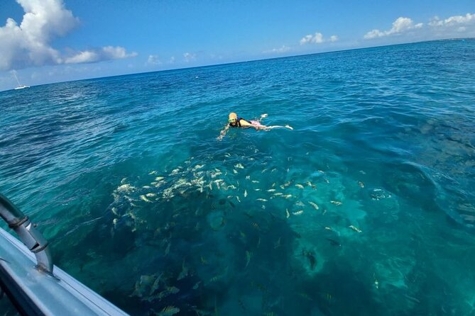 Saona island - Private Tour with a Luxury Speed Boat - Catuano snorkeling stop (30 minutes): short window, guided help