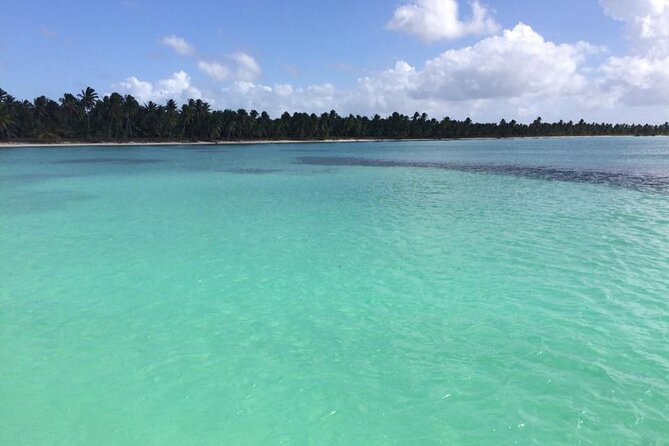 Saona island - Private Tour with a Luxury Speed Boat - Saona Island beach time (2 hours): swim, snack, and choose your pace