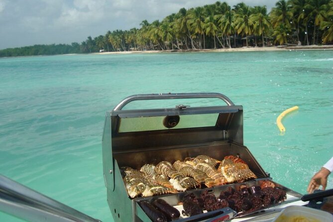 Saona island - Private Tour with a Luxury Speed Boat - Food and drinks: snacks plus alcohol, but no lunch