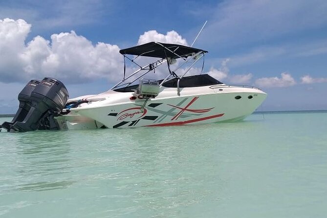 Saona island - Private Tour with a Luxury Speed Boat - Meeting time and pickup: plan around Bayahibe and Dominicus