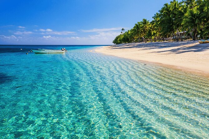 Saona Island : Punta Cana All Inclusive - Lunch and Open Bar: What You Actually Get During the Island Meal