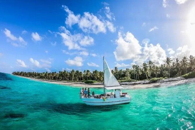 Saona Island : Punta Cana All Inclusive - Stop on the Natural Pool: The Starfish Moment (and Why 30 Minutes Matters)