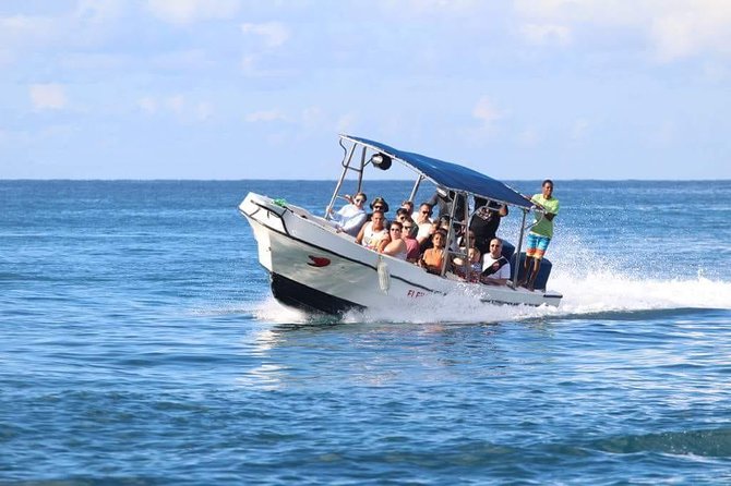 Saona Island Sailing Tour - All Inclusive - Saona Island, done the easy way from Punta Cana