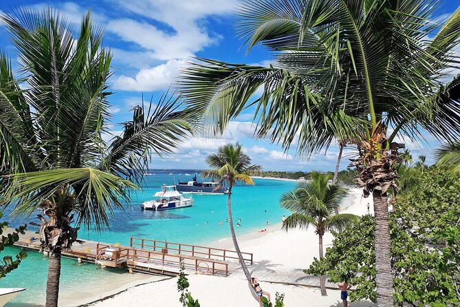 Saona Island Tour and Catamaran Party from Punta Cana - Key highlights before you go