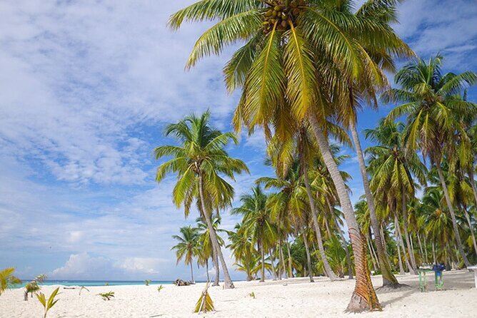 Saona Island Tour and Catamaran Party from Punta Cana - The catamaran party on the return: drinks, snacks, and dancing