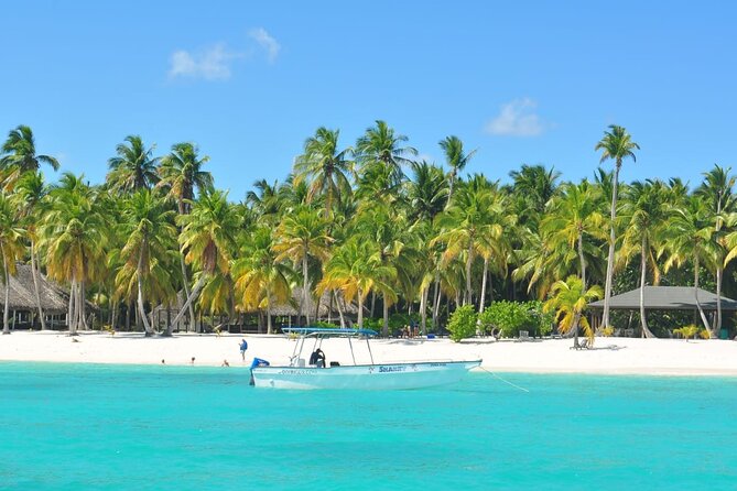 Saona Island Tour from Juan Dolio with pickup - Key Points Worth Knowing