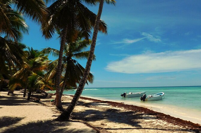 Saona Island Tour from Juan Dolio with pickup - Your Day Starts Early: 7:10 am to Isla Saona