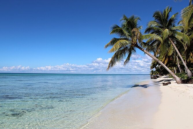 Saona Island Tour from Juan Dolio with pickup - Speedboat Out, Catamaran Back: Music and Open Bar Energy