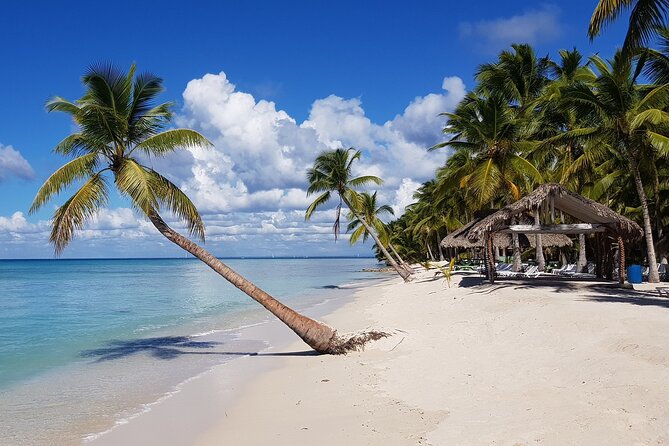 Saona Island Tour from Juan Dolio with pickup - Juan Dolio Pickup and the Boat Transfers That Shape the Vibe