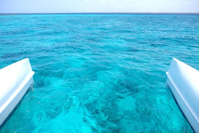 Saona Island Tour From Punta Cana - Punta Cana to La Romana: The ride that sets the tone
