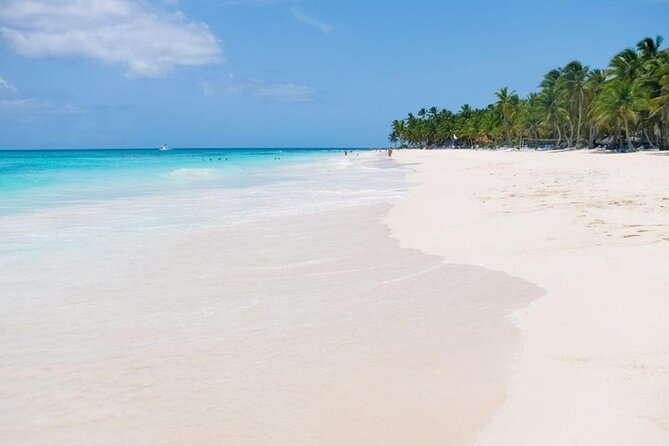 Saona Island Tour From Punta Cana - Group size: Why max 22 travelers matters