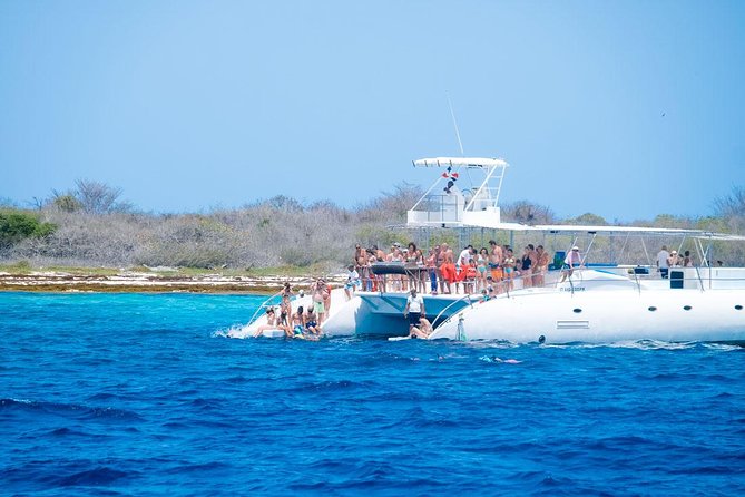 Saona Island Tour From Punta Cana - Who this tour suits best, and who should think twice