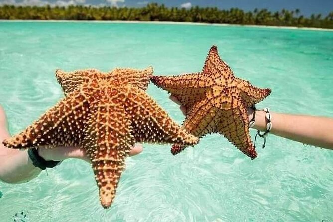 Saona Island Tour from Punta Cana All Inclusive - Why Saona Island Day Trips From Punta Cana Work (Even With a Full Schedule)