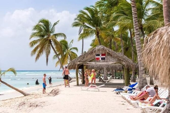 Saona Island Tour from Punta Cana All Inclusive - Boat Ride Mix: Catamaran, Speedboat, Music, and Onboard Comfort