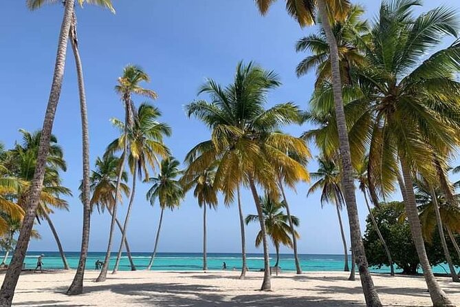 Saona Island Tour from Punta Cana All Inclusive - Pickup Zones and the Real Schedule From Punta Cana to Saona