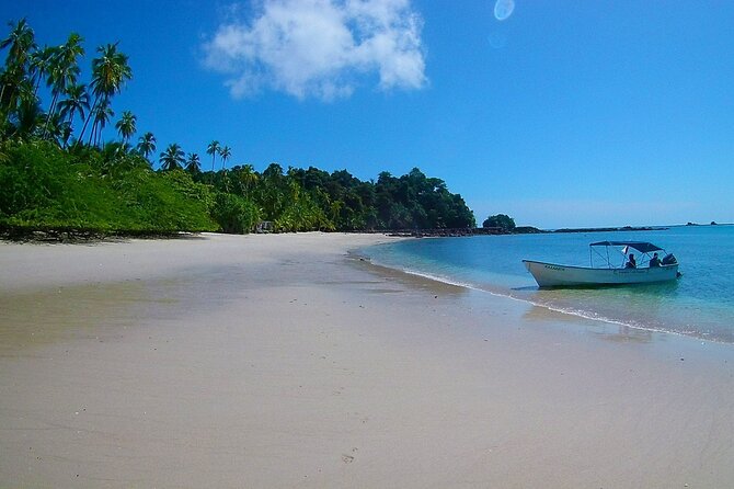Saona Island Tour from Punta Cana with Lunch, Open Bar & Pickup - Who this Saona tour fits best (and who should think twice)