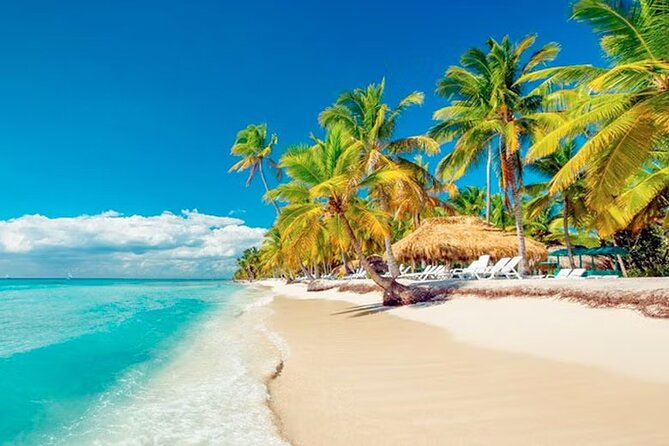 Saona Island Tour from Punta Cana with Lunch, Open Bar & Pickup - Natural Pool swim stop: 45 minutes to enjoy the water