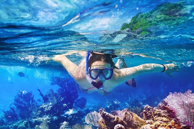 Saona Island Tour From Santo Domingo with Lunch, Open Bar, Pickup - Zona Colonial 7:00am Pickup and the Santo Domingo to Bayahibe Drive