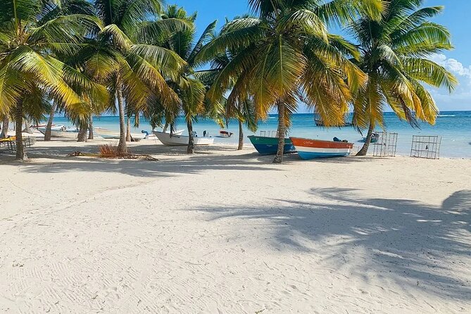 Saona Island Tour From Santo Domingo with Lunch, Open Bar, Pickup - Saona Island Three Hours: Beach Time Plus Snorkeling Options