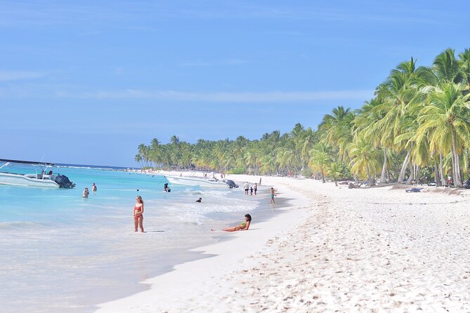 Saona Island Tour in Punta Cana - Timing and the one real caution: plan your evening buffer