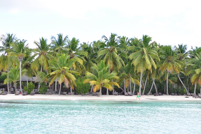 Saona Island Tour in Punta Cana - Who should book this Saona Island tour