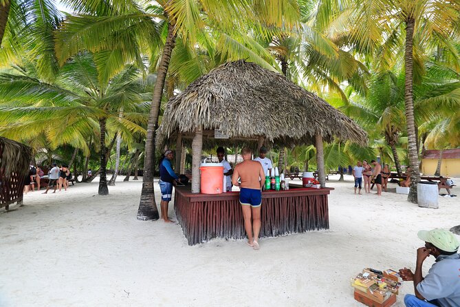 Saona Island Tour with Altos de Chavón from Punta Cana - Catamaran Caribbean party: music, dancing, and how comfort can change