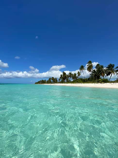 Saona Island VIP: 4 Beaches , Mano Juan & Canto de la Playa - How the day runs, from pickup to speedboat to back again