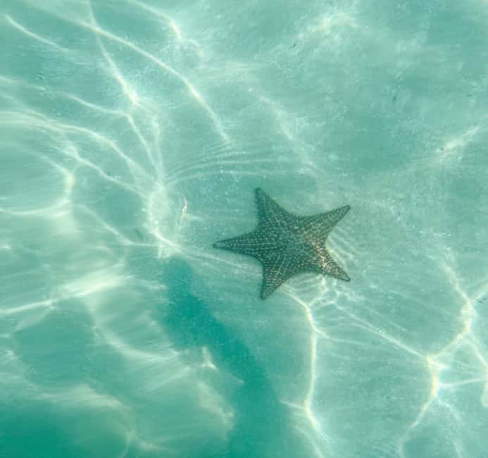Saona Island VIP: 4 Beaches , Mano Juan & Canto de la Playa - Four beaches on one trip: why this itinerary works