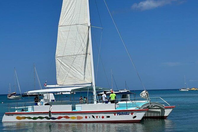 Saona Island VIP Experience – Private Boat for Up to 20 People - Getting to the Water: Transport, Catamarans, and the Boat Setup