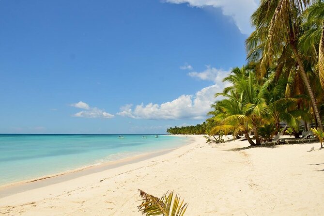 Saona Island VIP Experience – Private Boat for Up to 20 People - Communication, Host Support, and What to Do About It