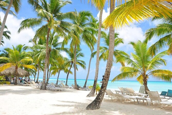 Saona Island VIP Experience – Private Boat for Up to 20 People - Saona Island Stop: Beach Time With Included Food and Drink