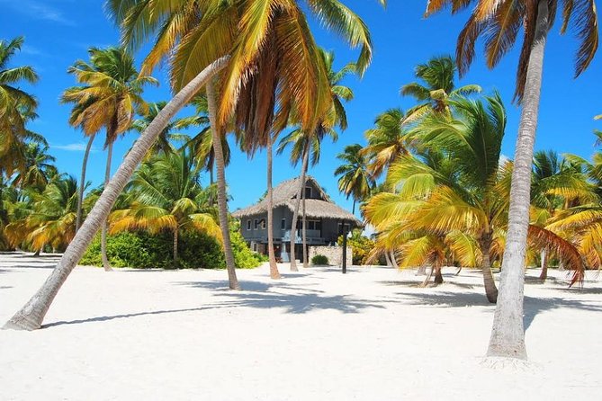 Saona Island VIP Full Day All Inclusive Excursion - Open bar stop: the view break that keeps morale high