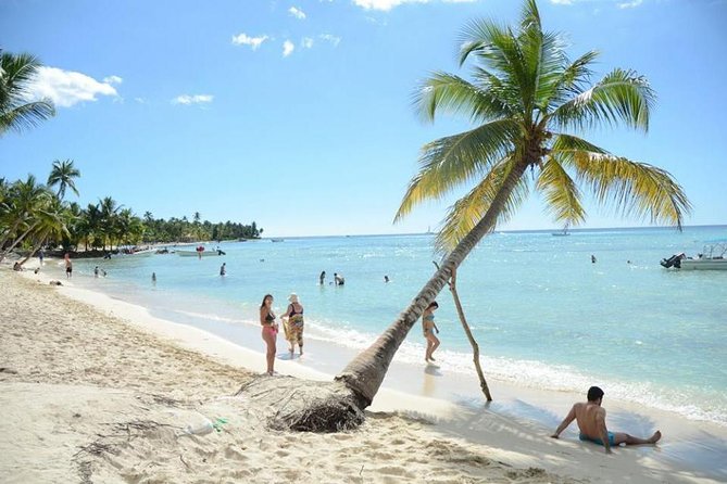 Saona Platinum Beach Day - Saona Island Beach Time: The Main Event