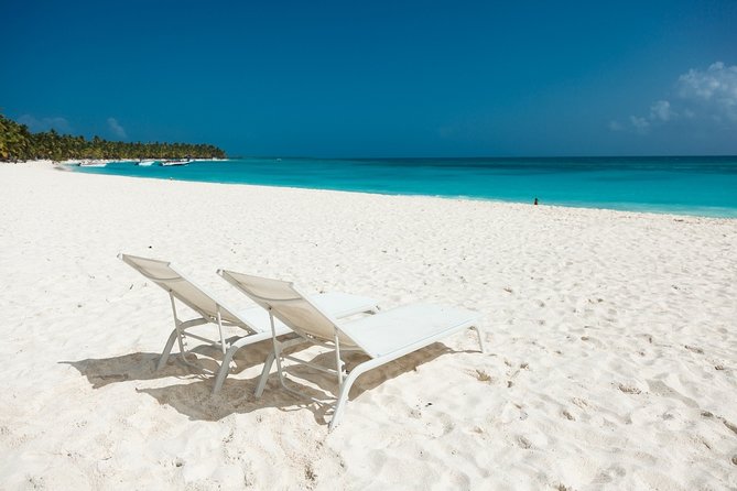 Saona Private Full-Day Tour from Punta Cana - Key things I’d zero in on before booking