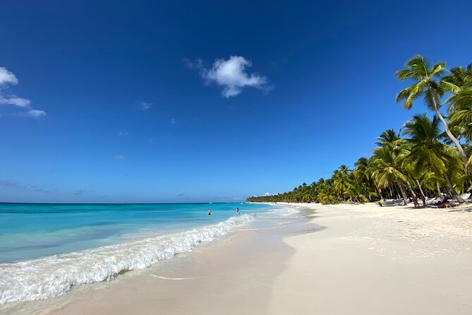 Saona Private Full-Day Tour from Punta Cana - The Blue Lagoon return stop: starfish spotting and a quick swim break