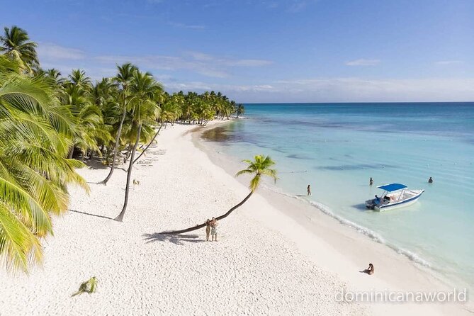 Saona Private Tour with Own Guide and Transport from Punta Cana - Key highlights to know before you go