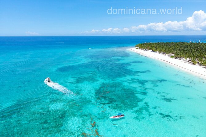 Saona Private Tour with Own Guide and Transport from Punta Cana - Playa Viva Snorkeling: Fish Feeding With Flexible Time