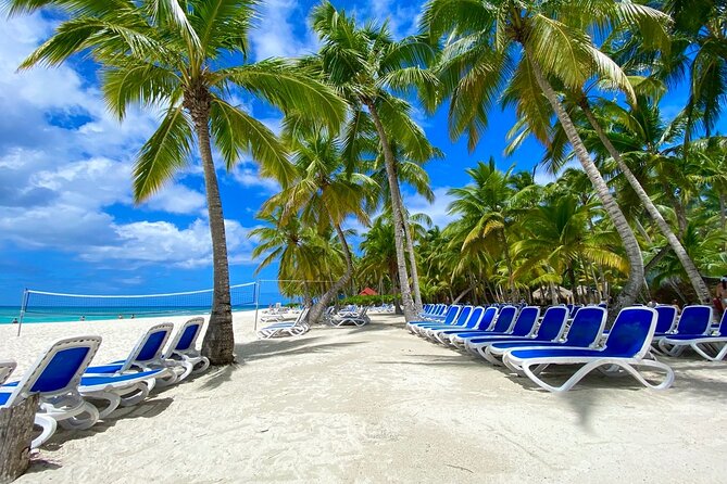 Saona Private Tour with Own Guide and Transport from Punta Cana - Piscina Natural Saona Starfish Lagoon and the Floating Bar