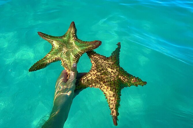 Saona Private Tour with Own Guide and Transport from Punta Cana - Lunch, Drinks, and the Rhythm of a 9 to 12 Hour Day