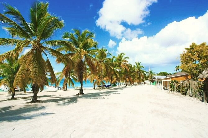 Saona Relax Tour - Getting to Saona: catamaran or speedboat ride, and the “party” energy