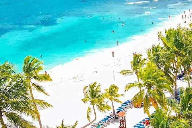 Saona Relax Tour - Round-trip transfer and mobile ticket: the basics done right
