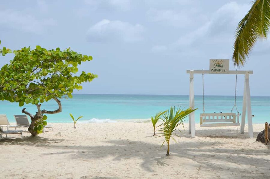 Saona Special Tour: 4 Beaches with Canto from Punta Cana - The transfer rhythm: van time, then speedboat legs