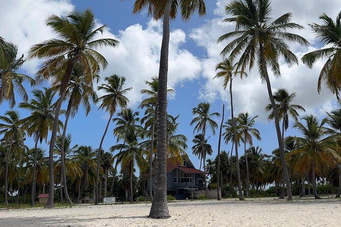 Saona VIP 3 Beaches, Natural Pool & Mano Juan Turtle Sanctuary - Playa Toro on Saona Island: White Sand Time With a Clear Pace