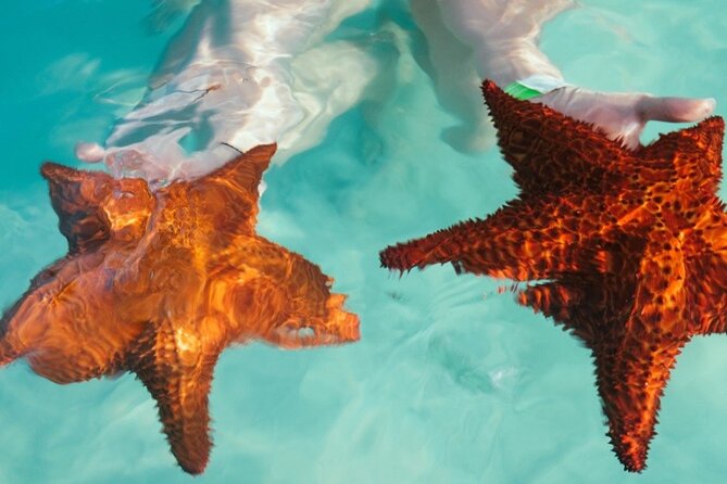 Saona VIP 3 Beaches, Natural Pool & Mano Juan Turtle Sanctuary - Natural Pool Stop: A Change From Straight Beach Time