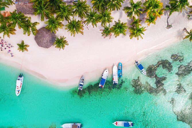 Saône Island in Catamaran and speedboat (blue lagoon) swimming pool. - Lunch on Saona: Dominican Buffet, Drinks, and What That Means in Real Life