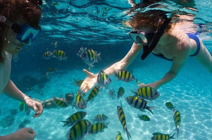 Scape Park Sunshine Cruise at Cap Cana - Open bar and a deck-party rhythm that actually fits 2.5 hours