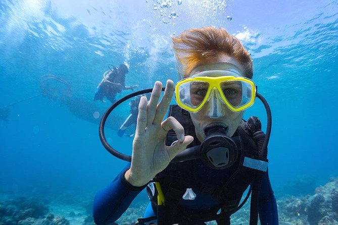 Scuba Diving at Catalina Island - 2 tank - for Certified Divers - Key highlights worth planning for