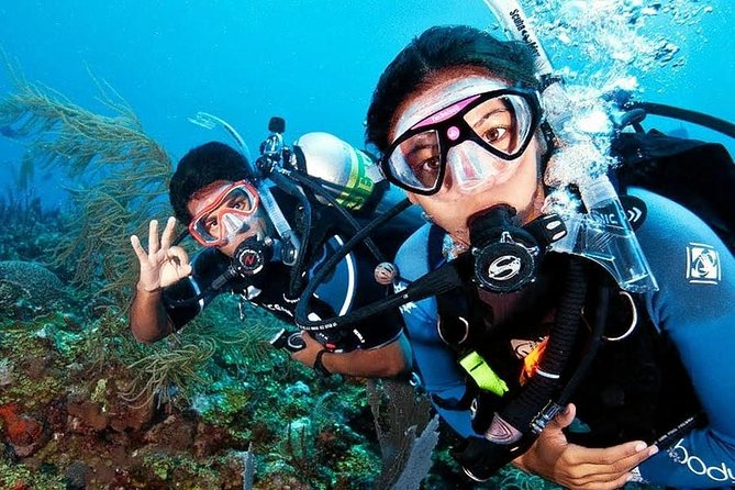 Scuba Diving on Catalina Island | 2 tanks, 2 spots - Catalina Island SCUBA: How This 8-Hour Schedule Works