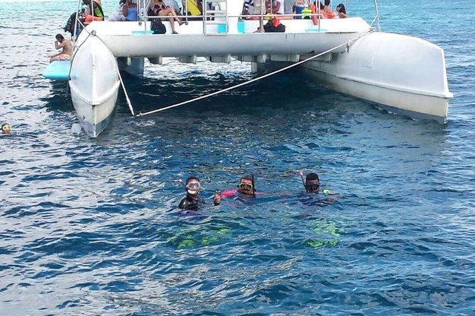 Scuba Diving on Catalina Island | 2 tanks, 2 spots - Beach Time After SCUBA: Loungers, Buffet Lunch, and Swimming